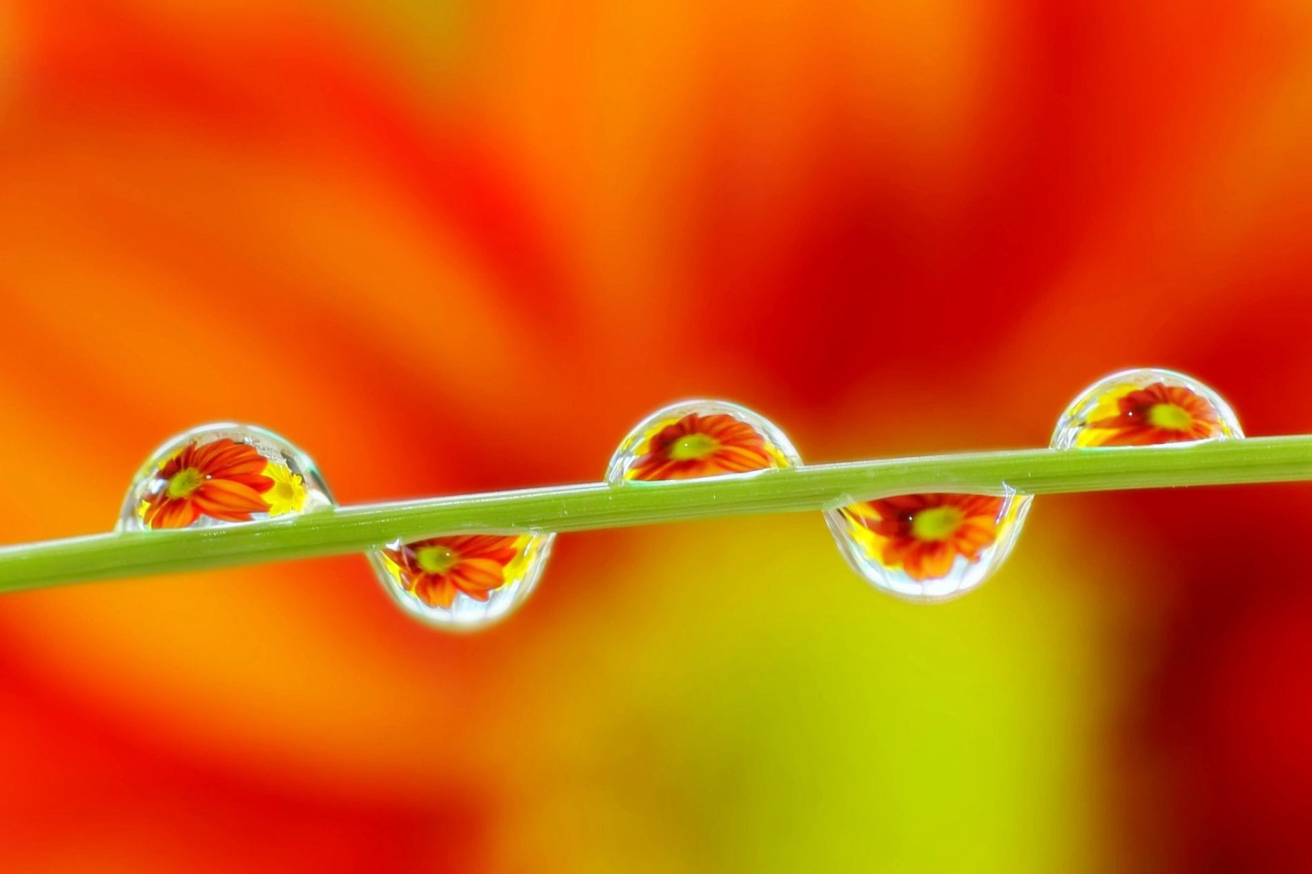 Διετής εκπαίδευση Focusing Βιωματικής Ψυχοθεραπείας